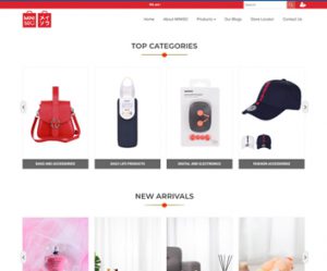 ecommerce