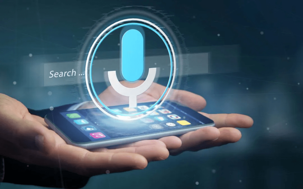 Use of Voice Search